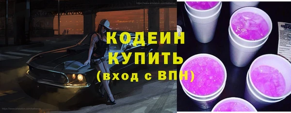 шишки Весьегонск