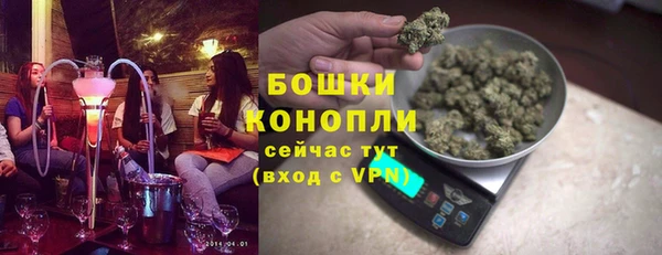 шишки Весьегонск