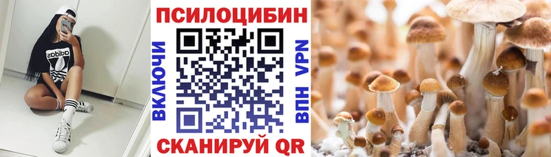 Псилоцибиновые грибы Psilocybe Мичуринск